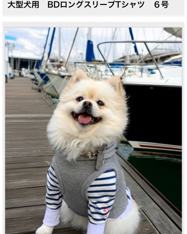 ドックブーツXSサイズ - 日本製犬服＆ペット関連グッズの