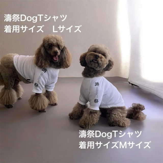 ITEMS - 日本製犬服＆ペット関連グッズのオーダーメイド｜Landy Landy